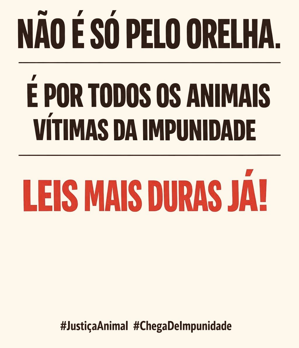 Enquanto a impunidade caminha livre, os animais seguem sangrando em silêncio. Justiça não é favor — é obrigação 🐕🐾💔

#JustiçaPorOrelha
#OrelhaEterno
#PretinhaEterna
#AbacateEterno
#ChicoEterno