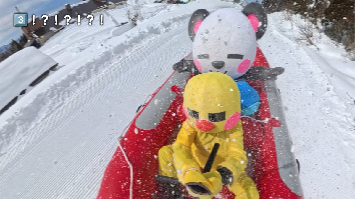 さかいさんだー🐼 (@Sakai_Thunder) / Posts / X