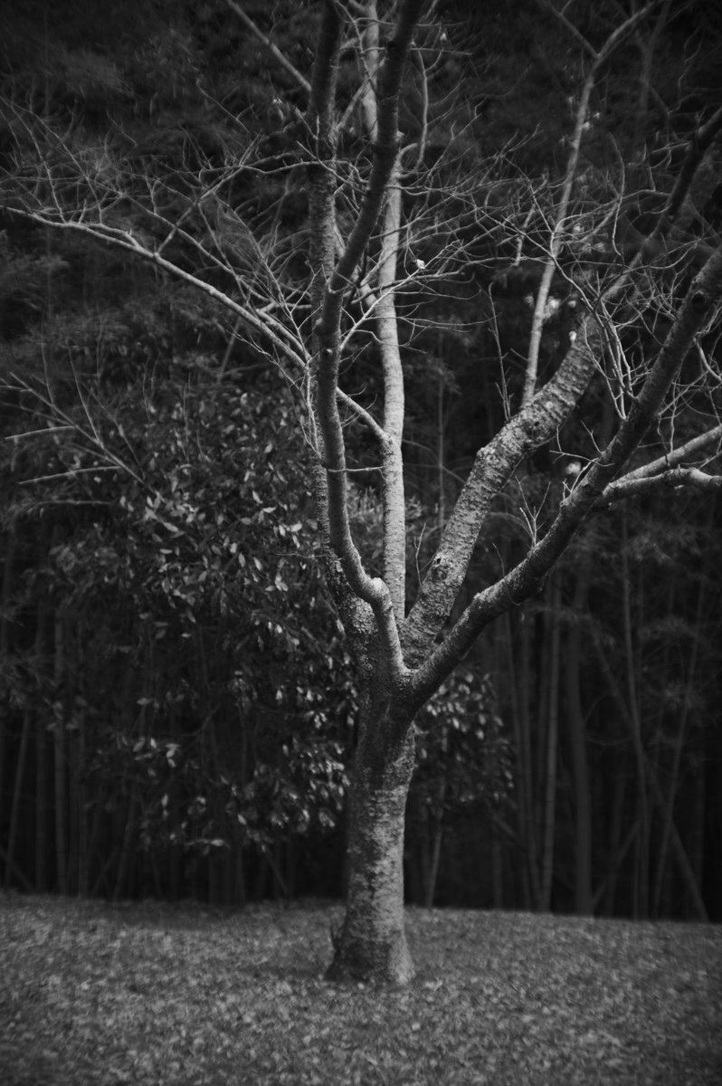 @tomohiro 038 tweet media