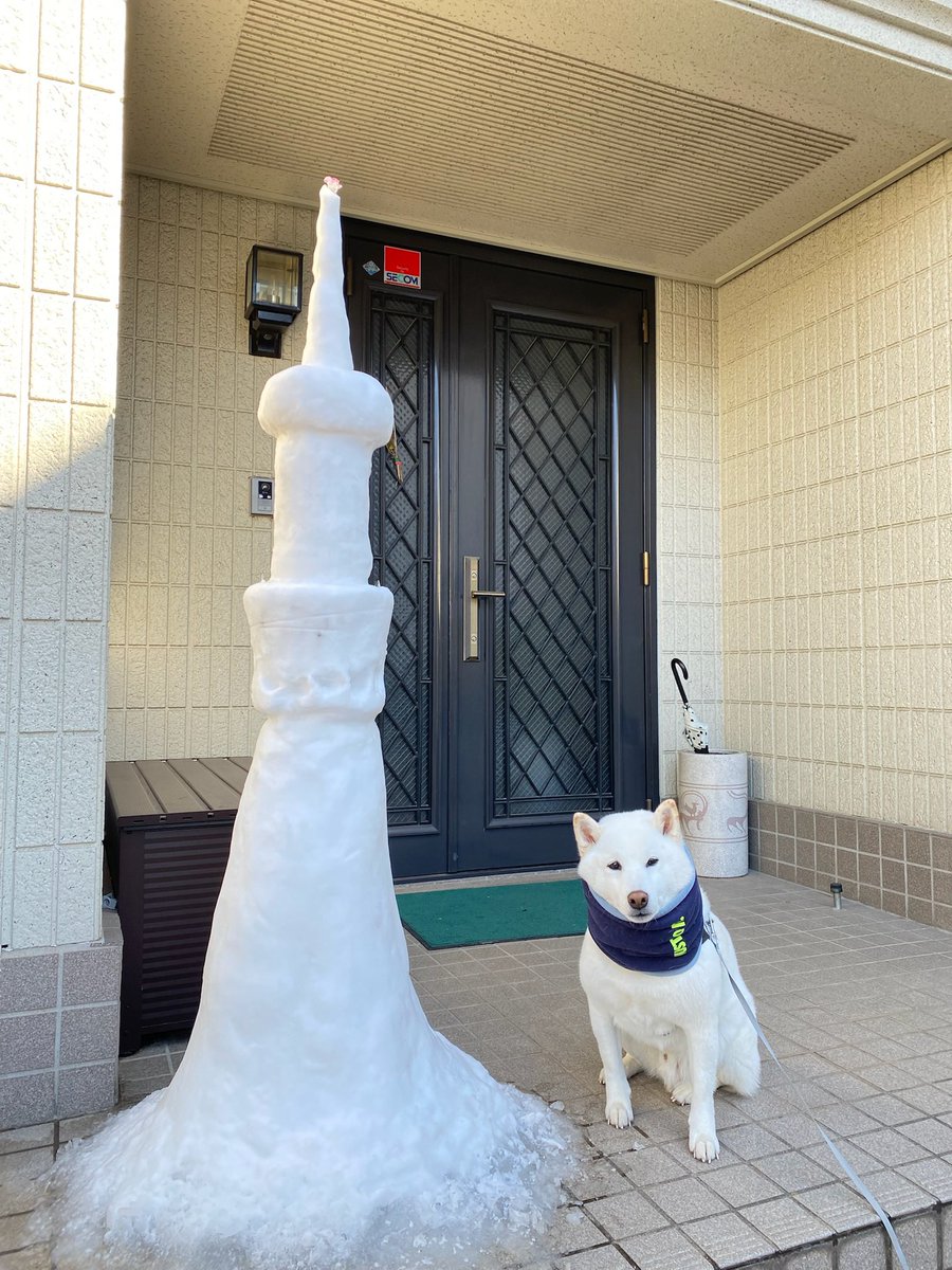 いぬ（いぬいぬ） (@kuroiinu_inu) / Posts / X