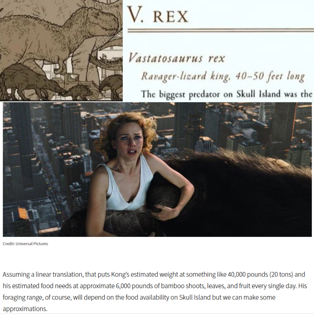 Reviews14320P's tweet image. Indominus Rex vs Vastatosaurus Rex | Comparação de Tamanho!!  

Indominus Rex JW: 
Altura: 6,7 metros 
Comprimento: 16,9 metros 
Peso: Desconhecido  

Vastatosaurus Rex: 
Altura: 6,1 metros 
Comprimento: 15,2 metros 
Peso: 18,1 tons

#vastatosaurusrex #indominusrex