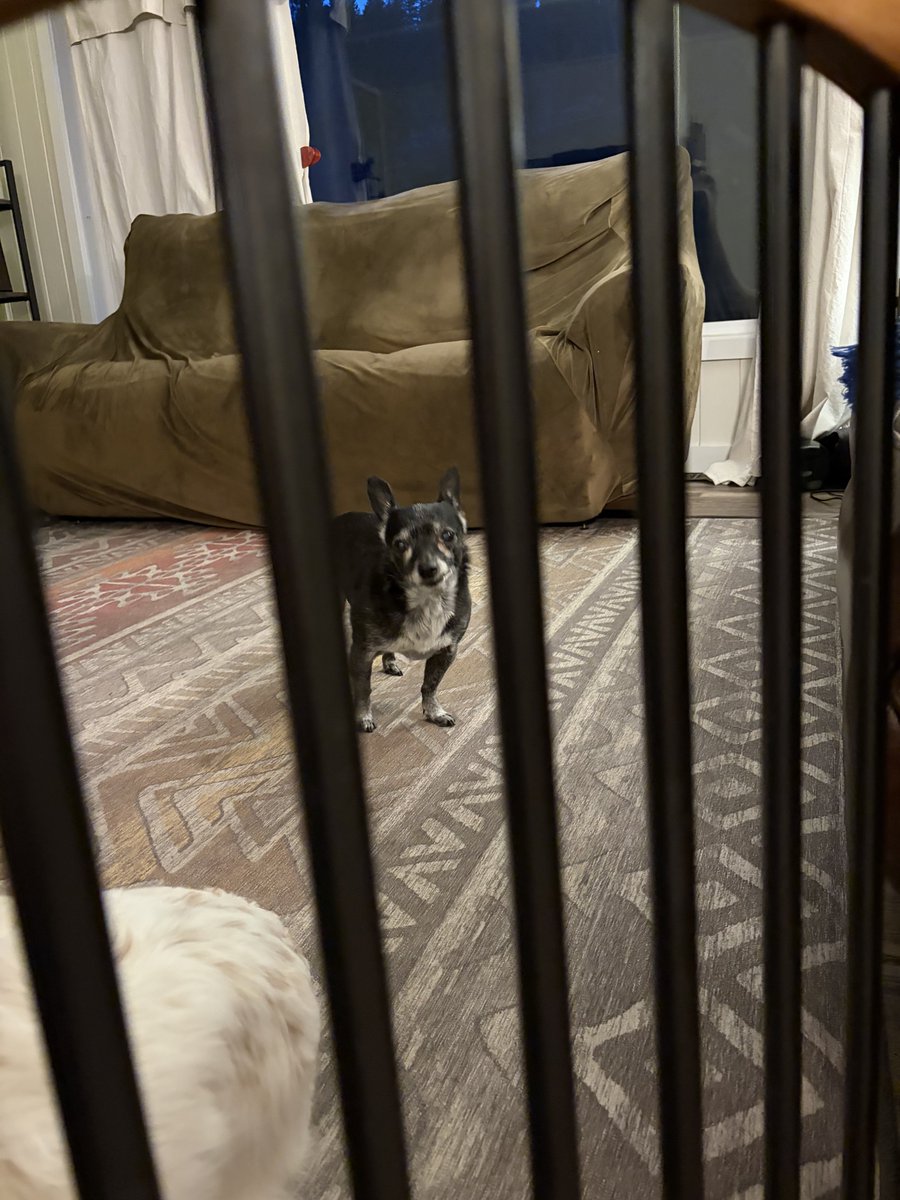 he remain unshaken. he remain kawaii~