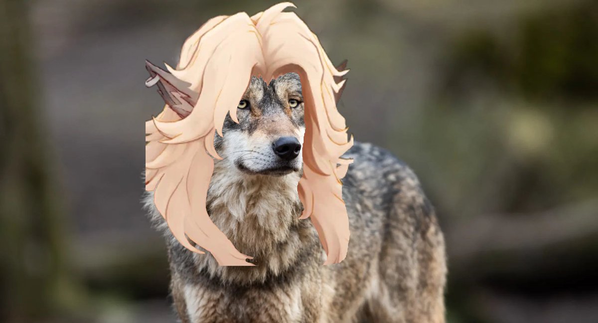 Tii_Vii_'s tweet image. Woof