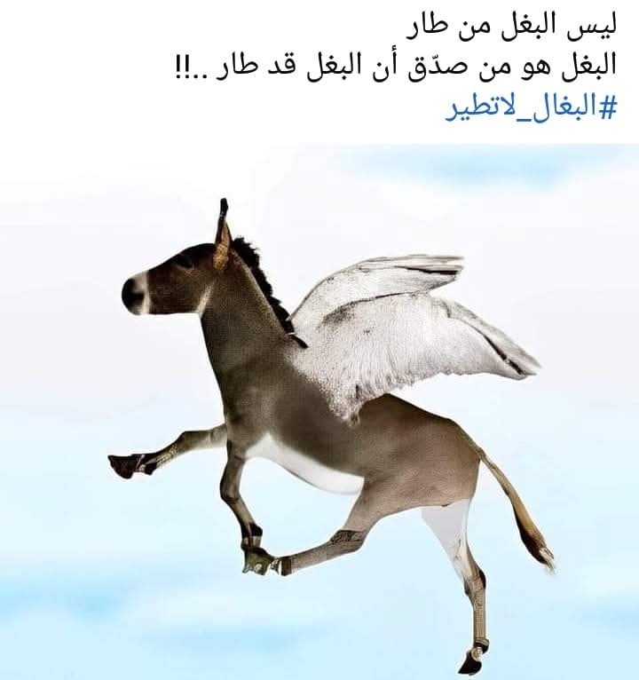 vince (@venice830820) on Twitter photo 