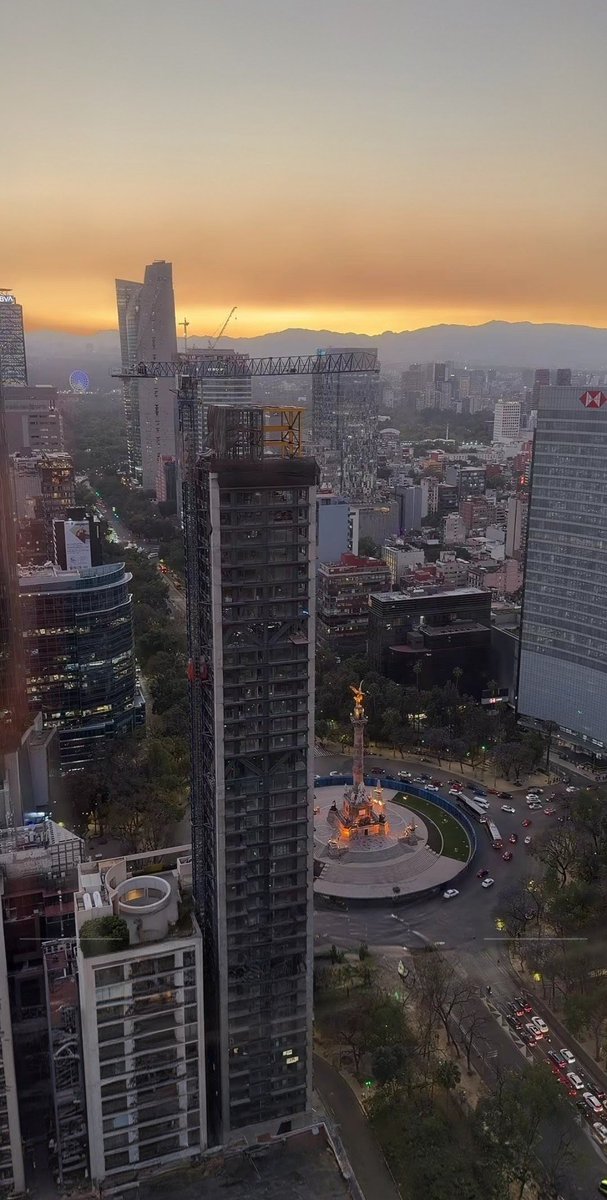 Liliylc's tweet image. #Relaxed.