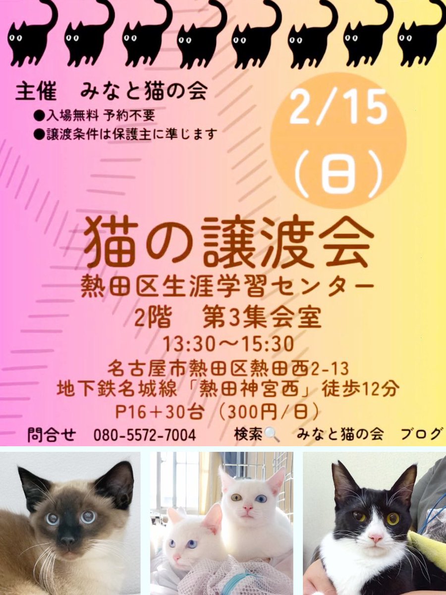 ねこまた (@nekomata_club) / Posts / X