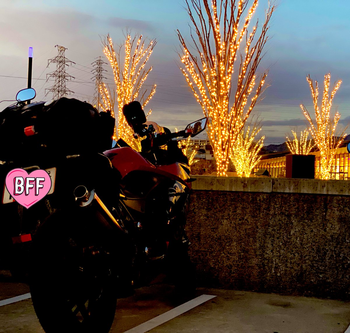 ⋆︎·̩͙⿻gooϑ✩︎mơяñΐng⿻·̩͙⋆︎。 昨日仕事終わってから