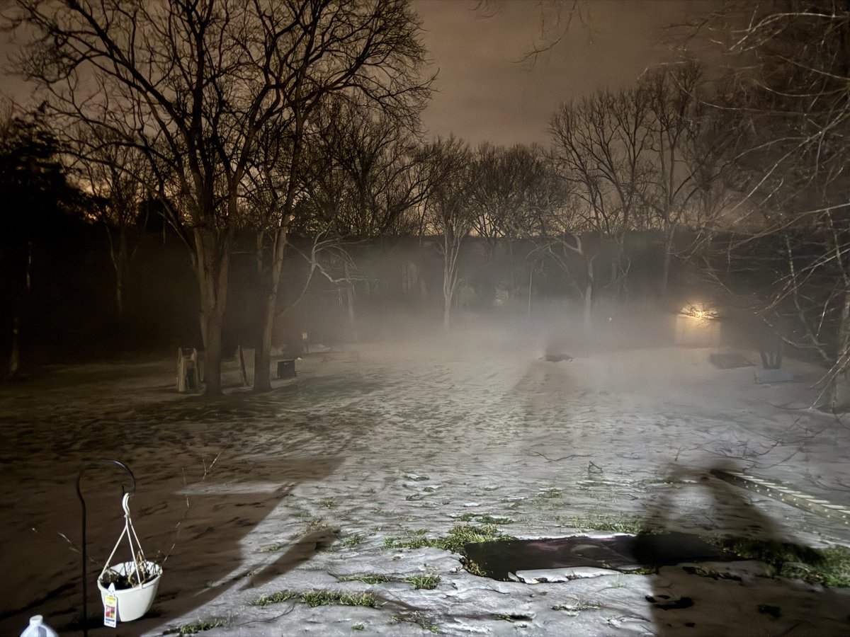 ridaroo.bsky.social tweet media