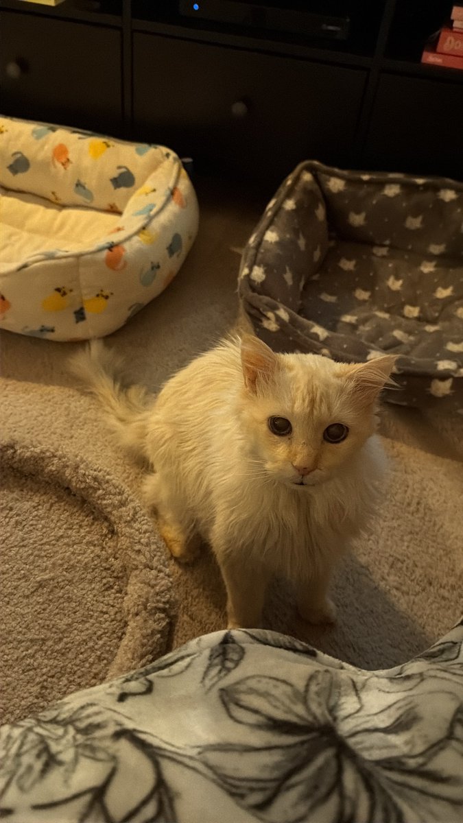 🐛🌷Dean🦋🪴 tweet media