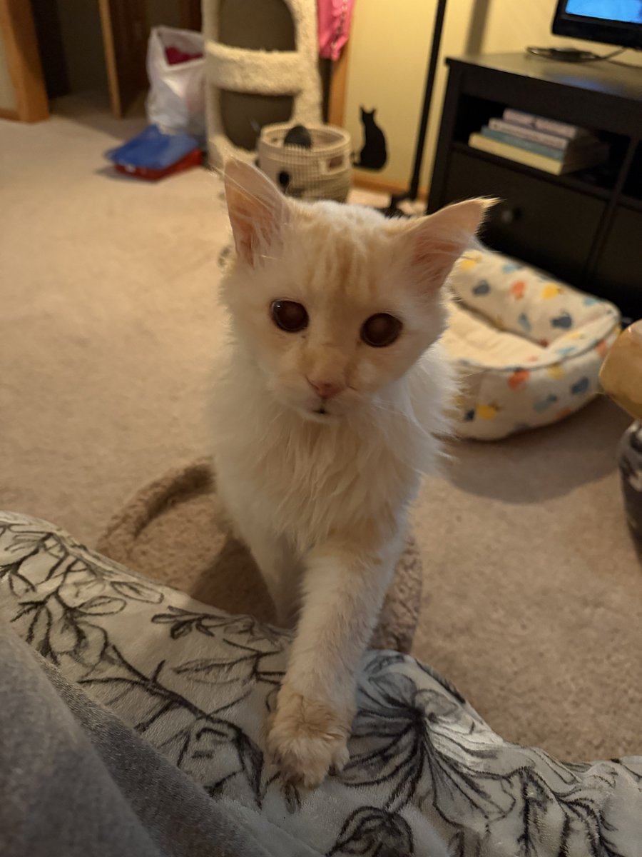 🐛🌷Dean🦋🪴 tweet media