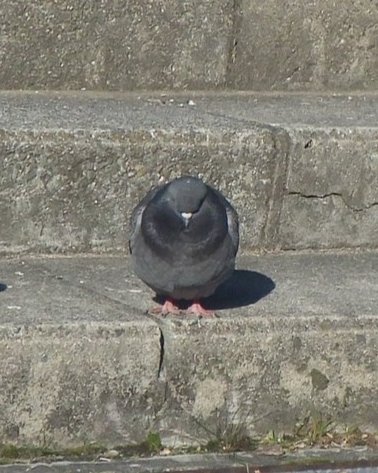 どうせ私なんて...　

        ンポーーーー！！！！！！