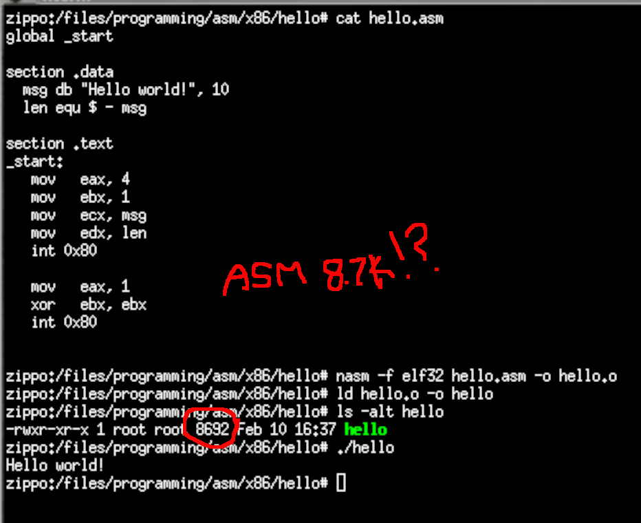 oh no! what about 8 bytes? 😁 $ cat hello world echo $0 $ ./hello