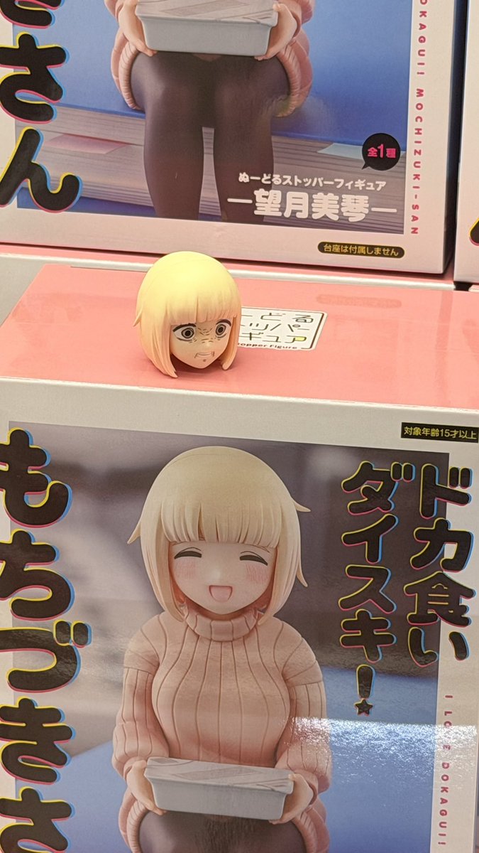 この前「ドカ食い大好きもちづきさん」のフィギュア取ったんだけど