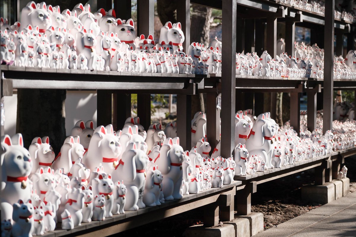 招き猫 #XE5 #fujifilmXE5 #XF1855 #fujifilm_xseries #fujifilm #富士