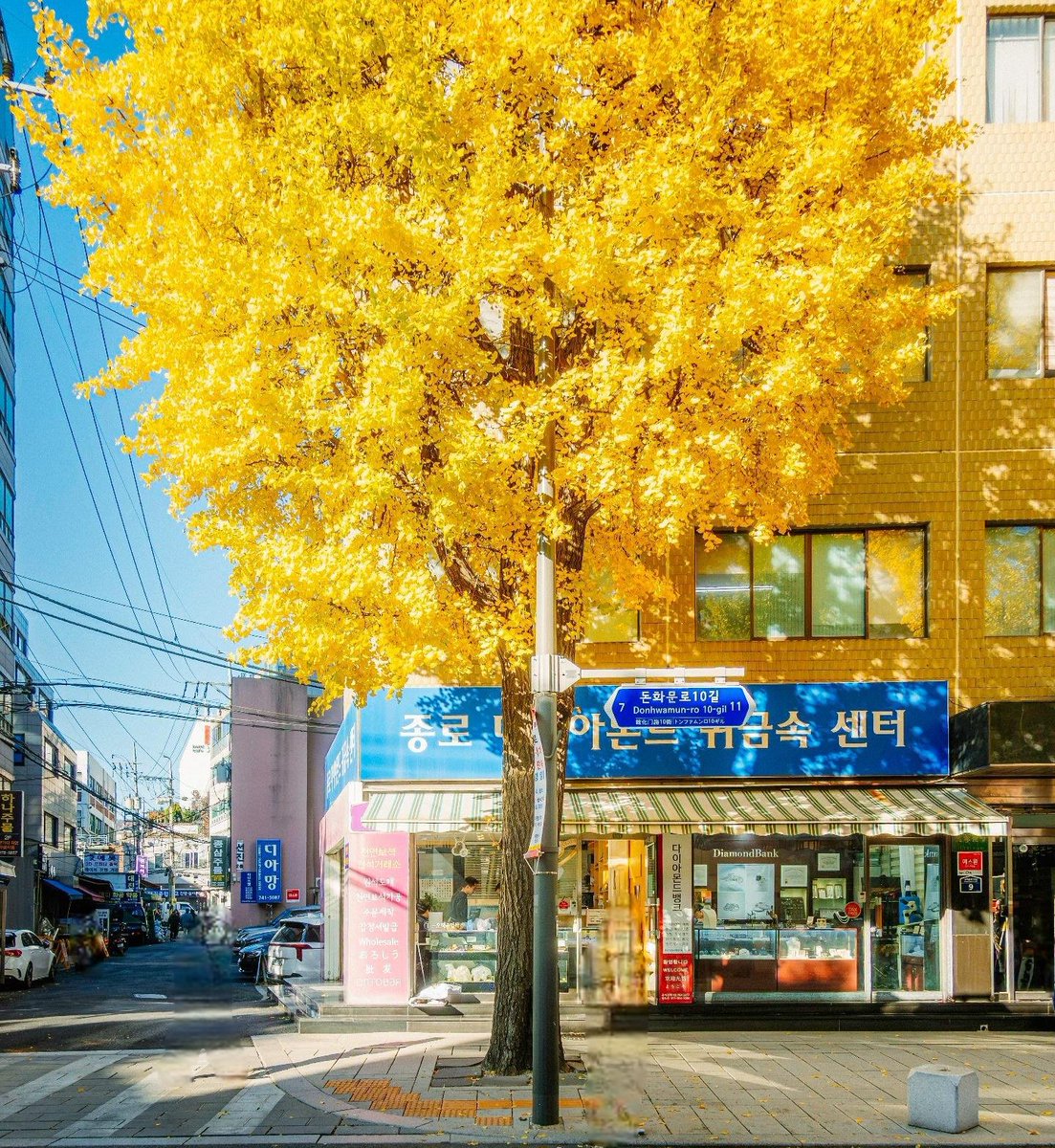 wrightforstudy's tweet image. 여기 참 예쁘다♡♡