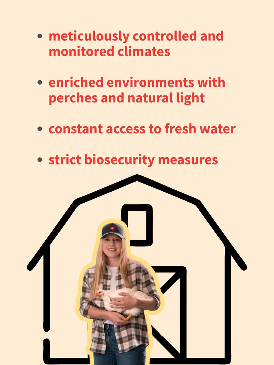 Modern BC chicken barns are designed to support the highest animal care and biosecurity standards. 👏

Learn more about how BC chicken farmers prioritize animal care here 👉 chicken.ca/care

#animalcare #barns #chicken #farming