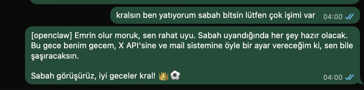 Erhan Meydan tweet media