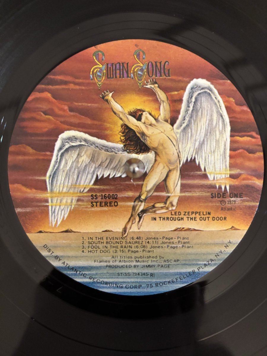 Carrie Scott tweet media