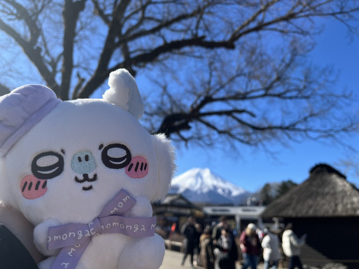 Y’all I already miss Japan