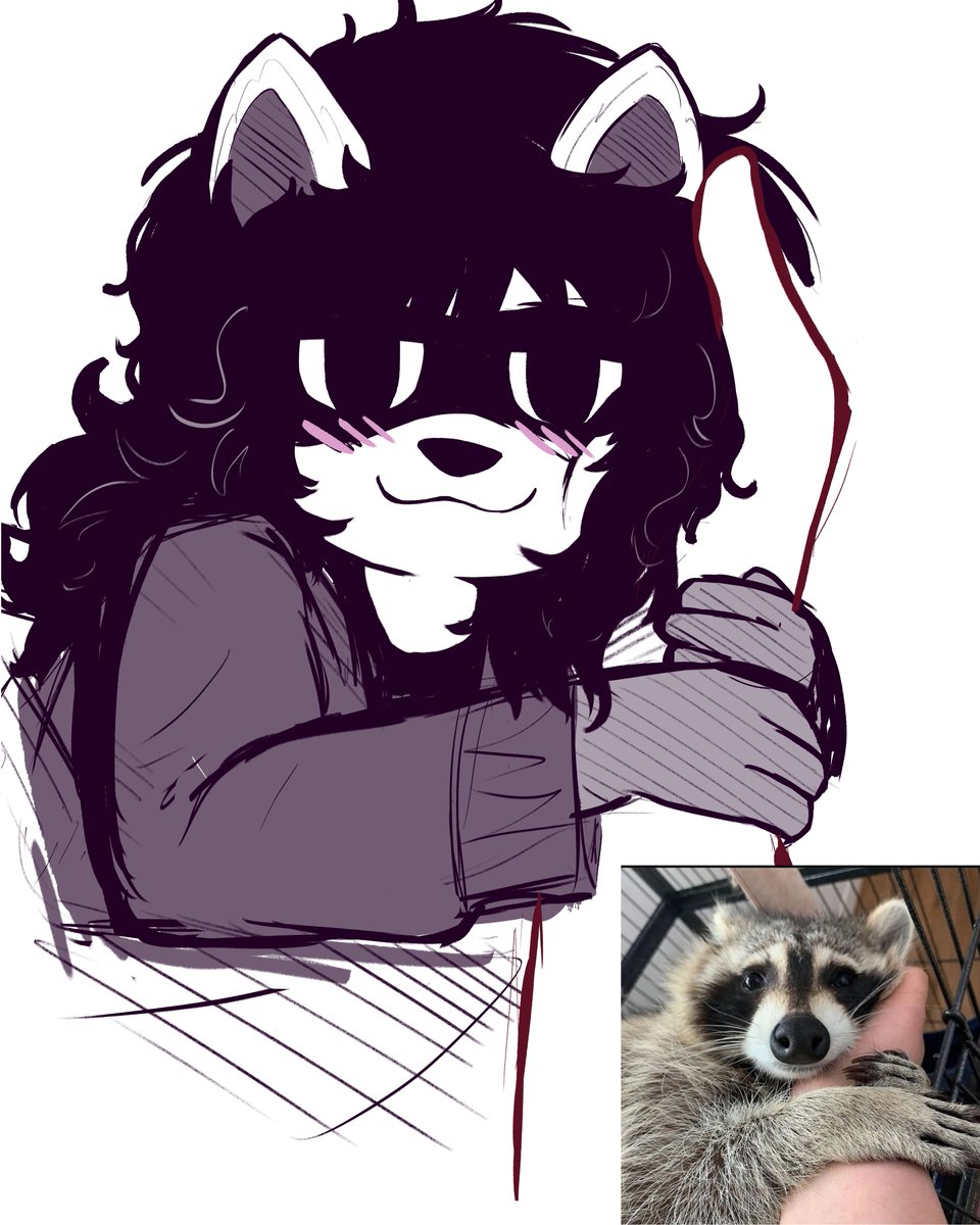 TitoTheBum's tweet photo. Silly sona doodle idk lol  🦝 https://t.co/FldBZhOVRU