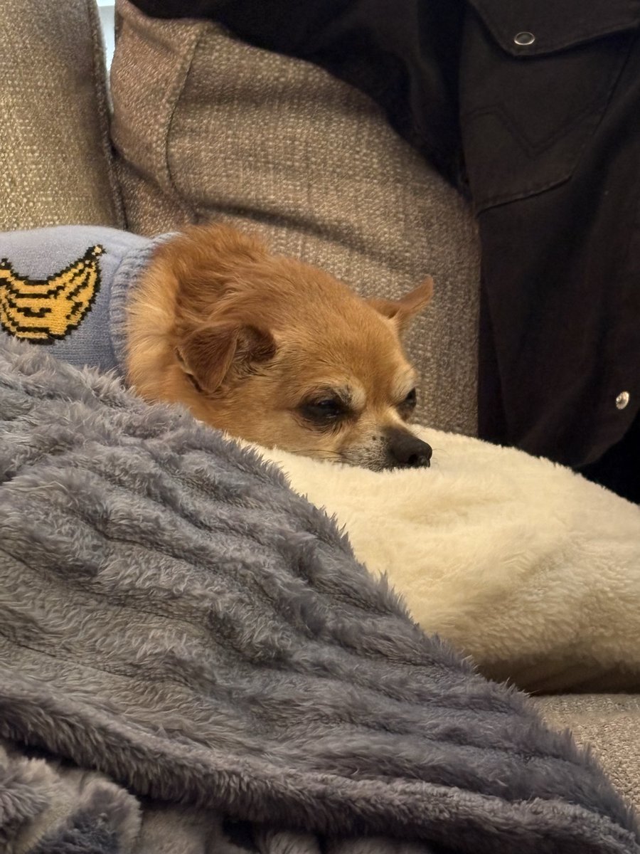 s_e_onghwa's tweet photo. mood https://t.co/5mrapwxVVS