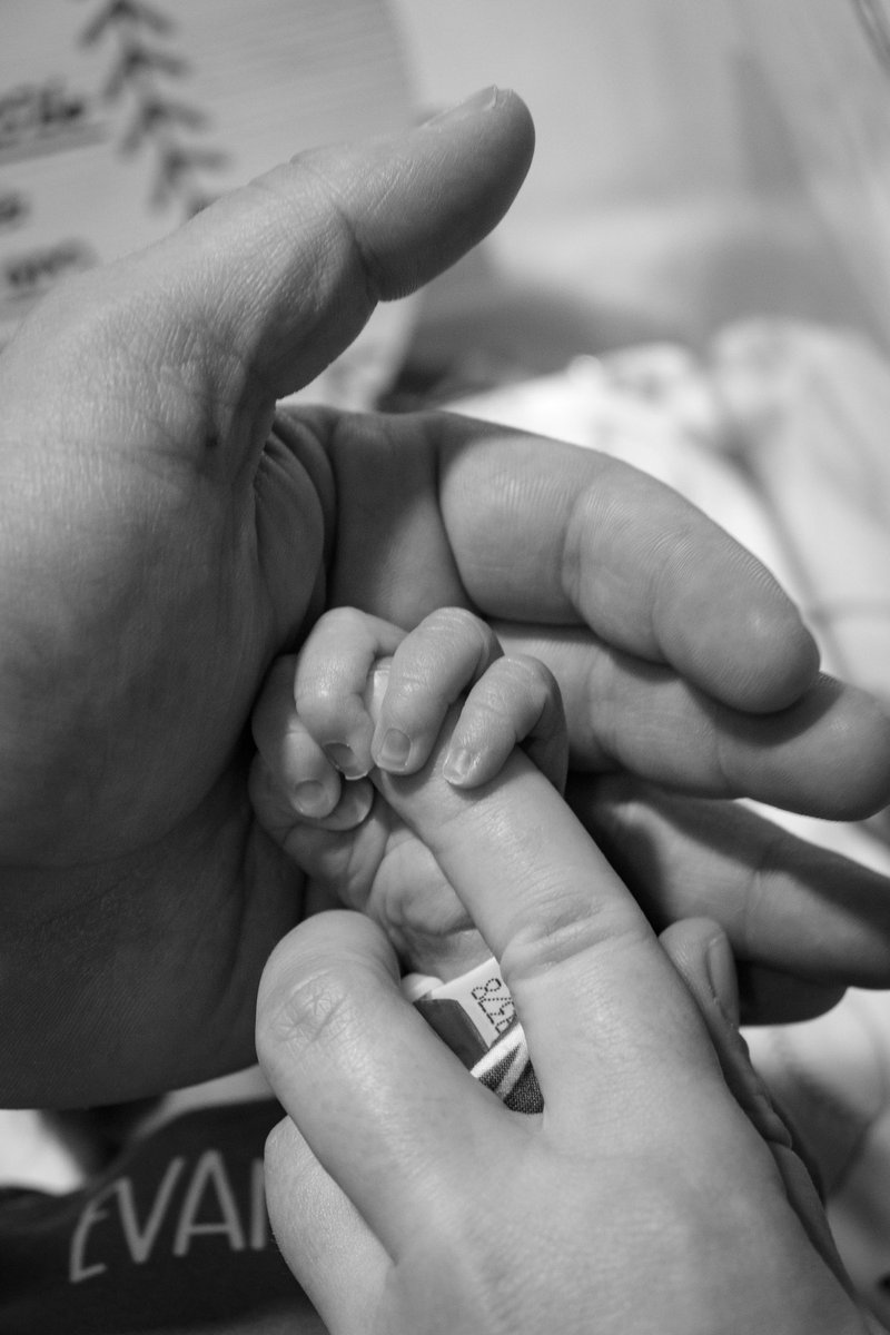 Mandy Bell tweet media