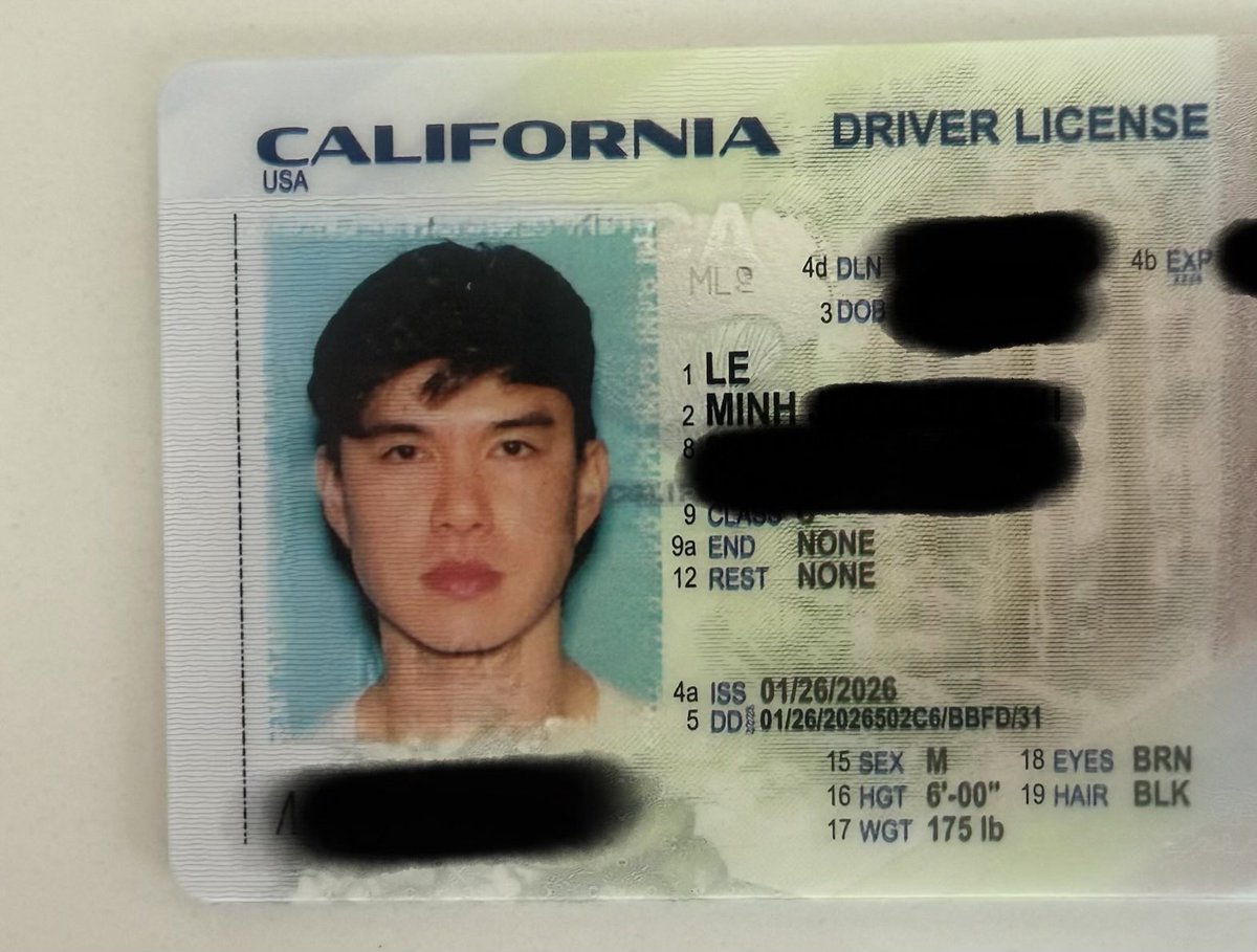 mogged the dmv