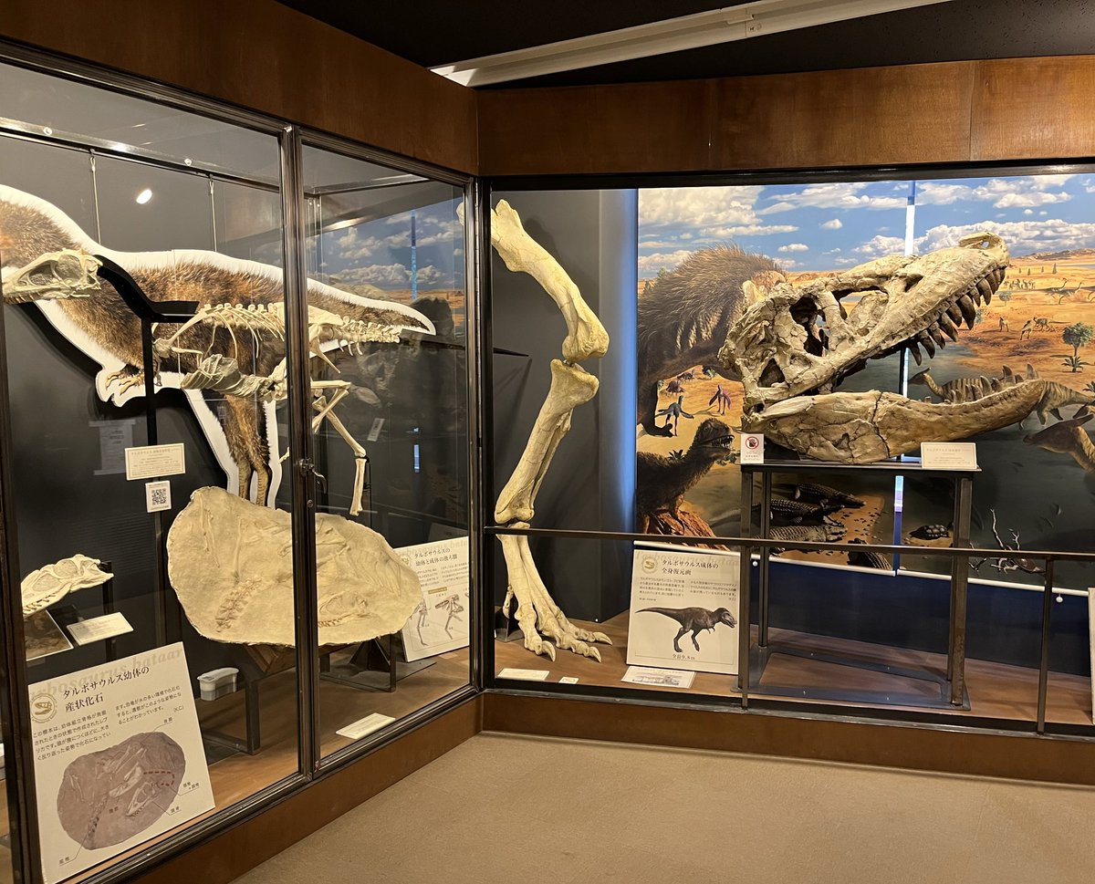 最近では珍しい雨模様ですが、本日も開館いたしました！
皆様のお越しをお待ちしております🦕

⏰開館時間 10:00〜16:45