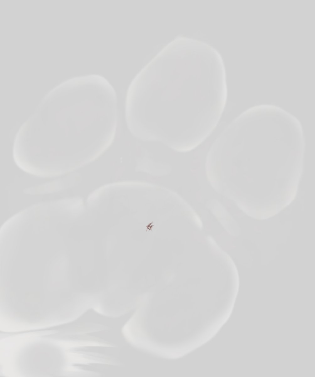 My dear <a href="/InfyServal/">Infy</a> never imagined the world could end so quickly after being shrunk to the size of an ant~

And in the end, he became what he always was meant to be~ nothing more than a stain underfoot~ pressed into the ground and quietly forgotten. 😌 With love~🧡🖤