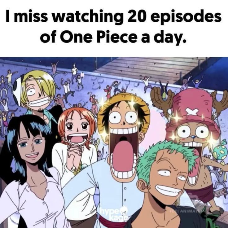 One Piece Daily tweet media