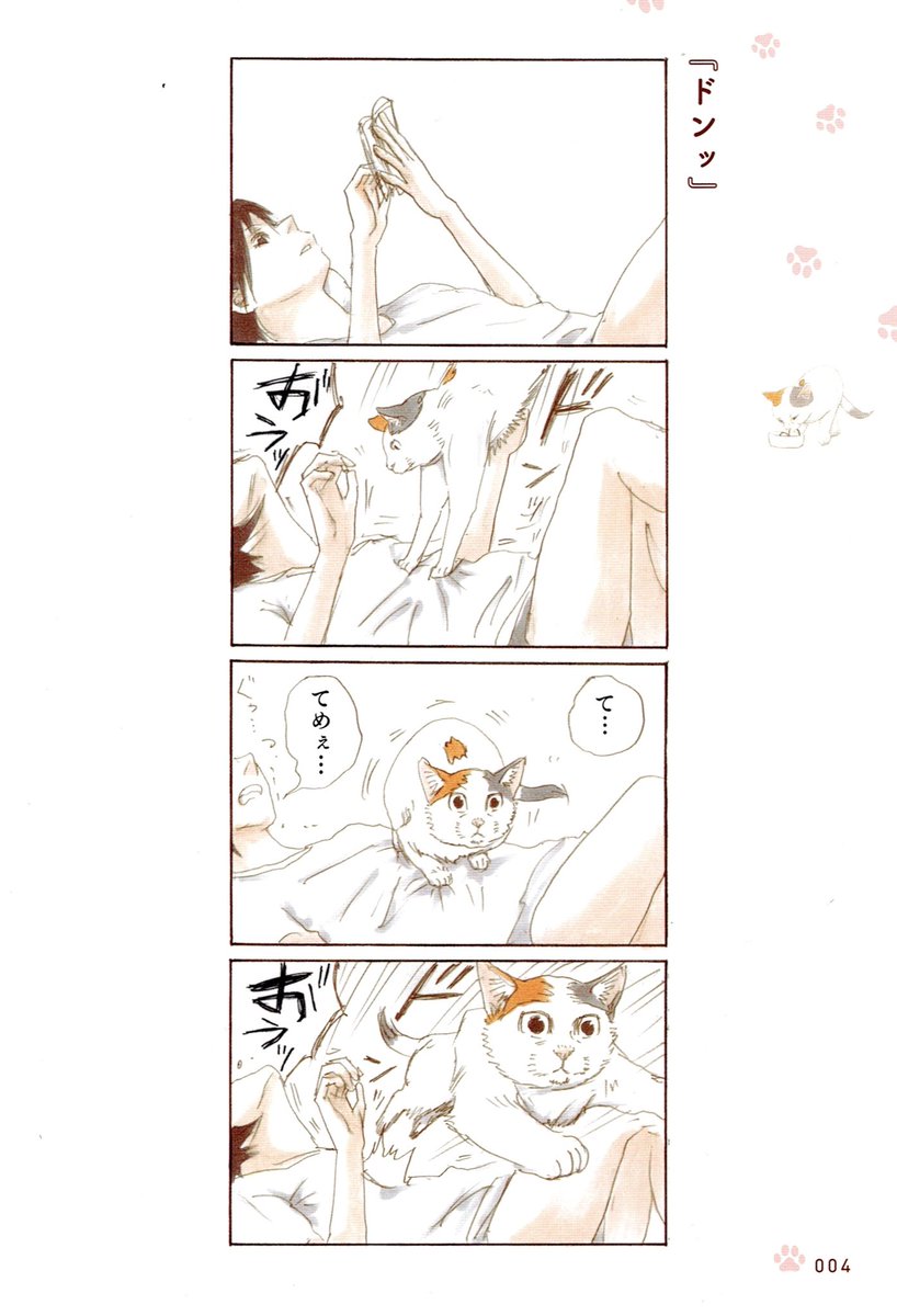 『ドンッ』