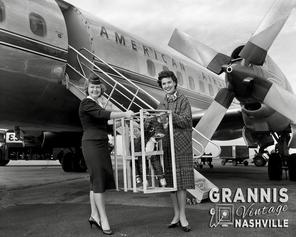 grannisvintage's tweet photo. Ladies with piñata in cage at Nashville airport in Tennessee 1960

Shop the full collection of images with prints and products. Link in bio 🔗

#nashville #nashvilleairport #americanairlines #nashvillehistory #1960s https://t.co/abgdfbcq7t