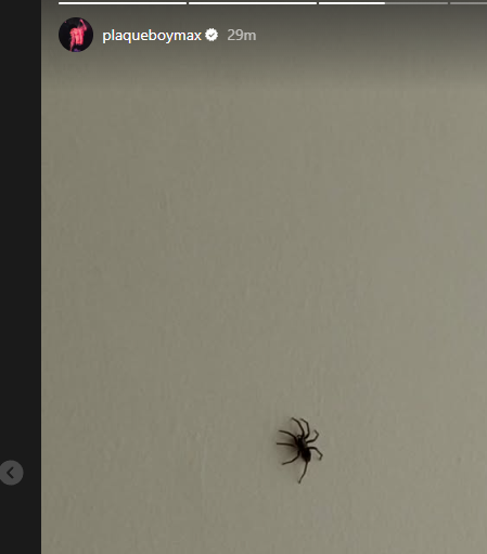 🧍‍♂️ tweet media