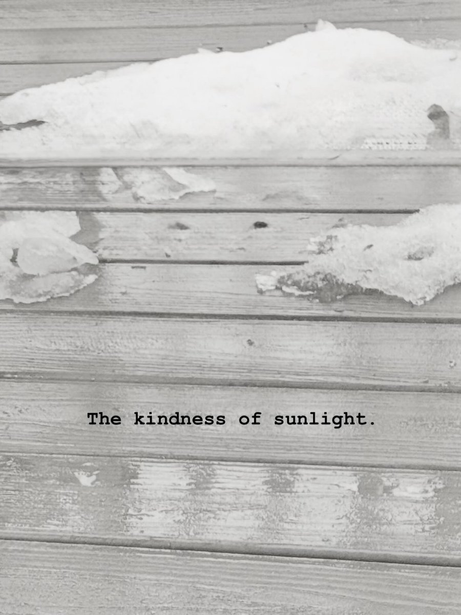 Sue Monk Kidd tweet media