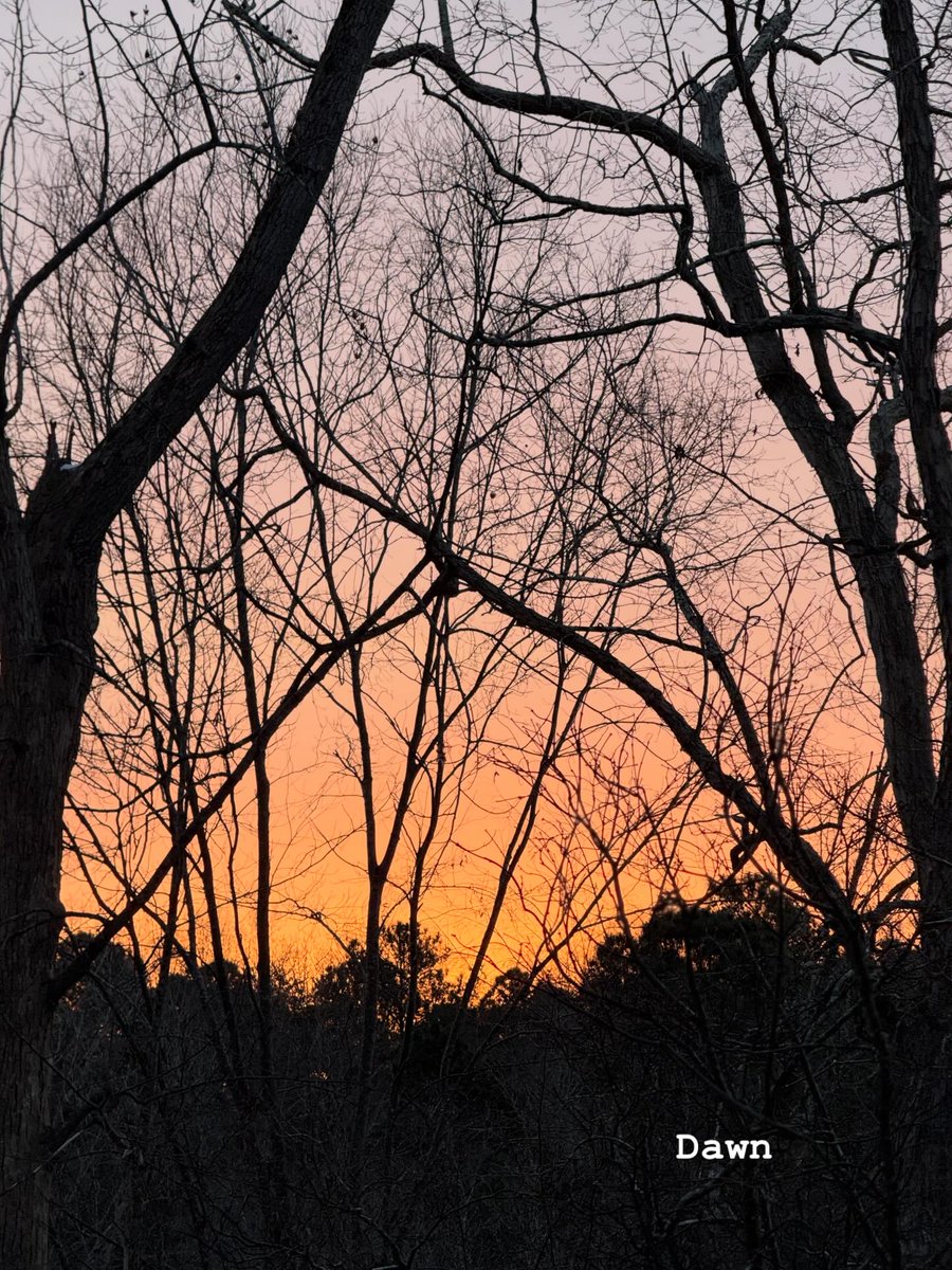 Sue Monk Kidd tweet media