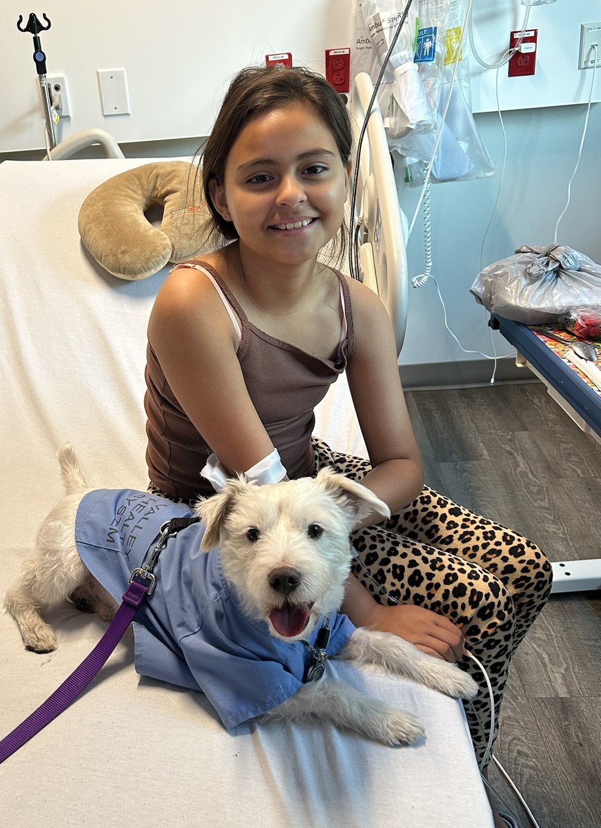 DekeHenriFurry's tweet photo. I made a new friend in the Children’s Medical Center at Summerlin Hospital, and I saw Nurse Ginny and Dr. Jim!
It’s great being a therapy dog!
~ Deke🐾
#TherapyDog
#PawYouNeedIsLove
#BarkForACause https://t.co/3fkN38jHd3
