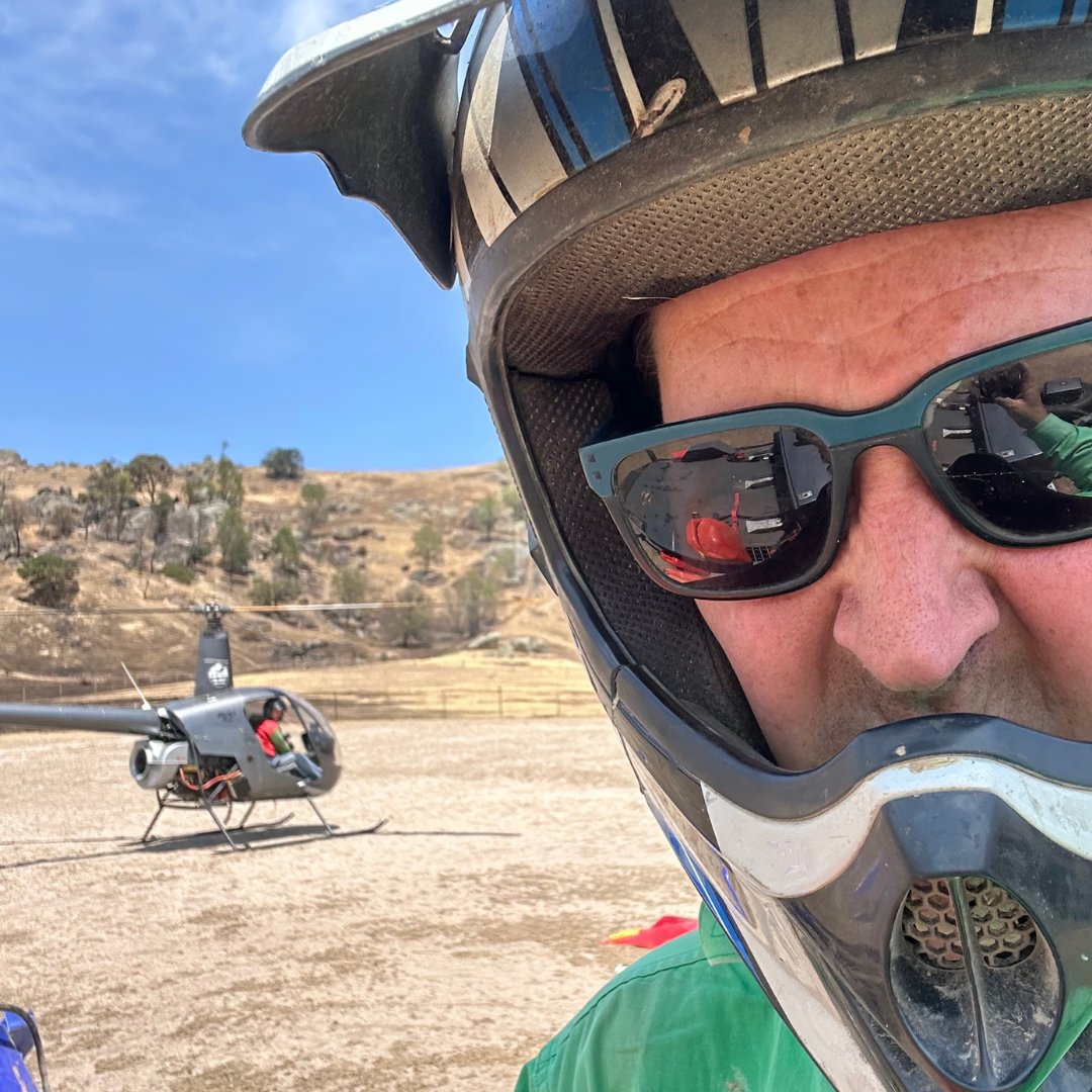 Crop Smart tweet media