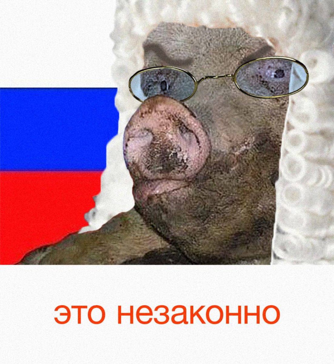 GETSLOWER tweet media