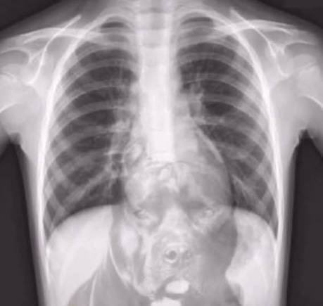 Kevin Ellis tweet media