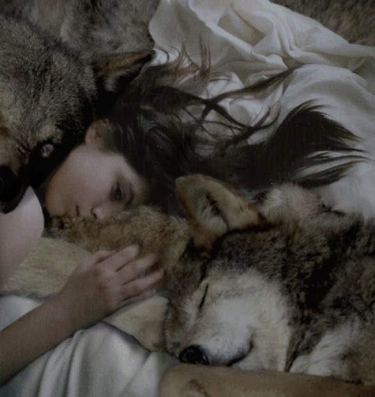 “Sansa is your sister. You may be as different as the sun and the moon, but the same blood flows through both your hearts. You need her, as she needs you … and I need both of you, gods help” - Arya II, Agot