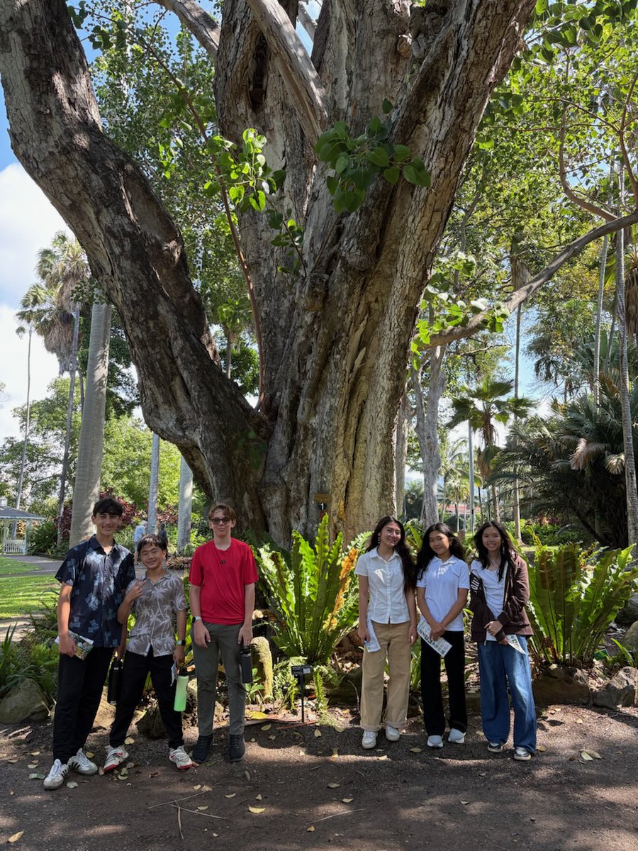 HMS Dolphins tweet media