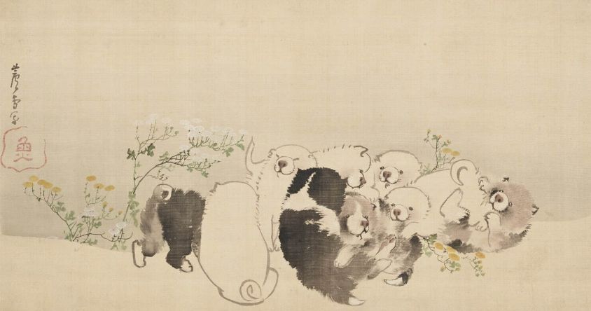 長沢蘆雪『菊花子犬図』 江戸時代中期 18世紀後半 個人蔵

府中市美術館（東京）にて「企画展 長沢蘆雪」が開催されます。
2026年3月14日（土）～5月10日（日）