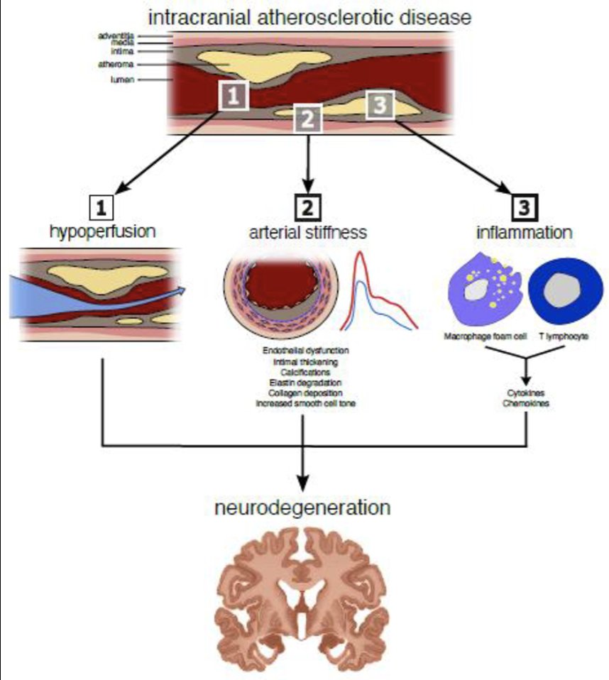 Dr. Neelum T. Aggarwal tweet media