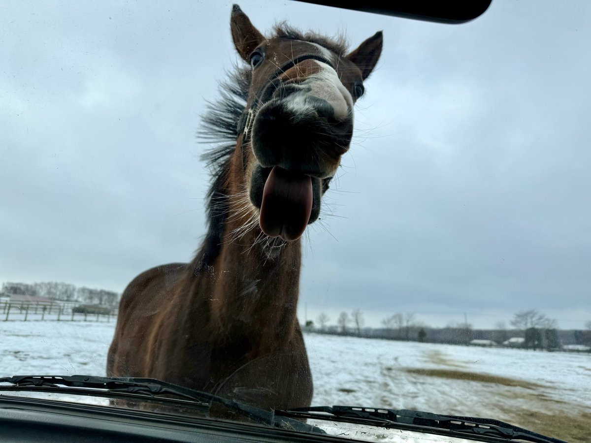 ハヤタ (@hataya2412) / Posts / X