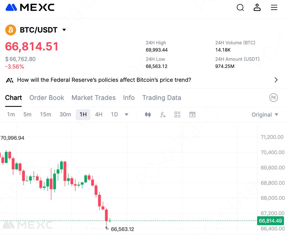 Bitcoin falls back under $67,000

what happened??