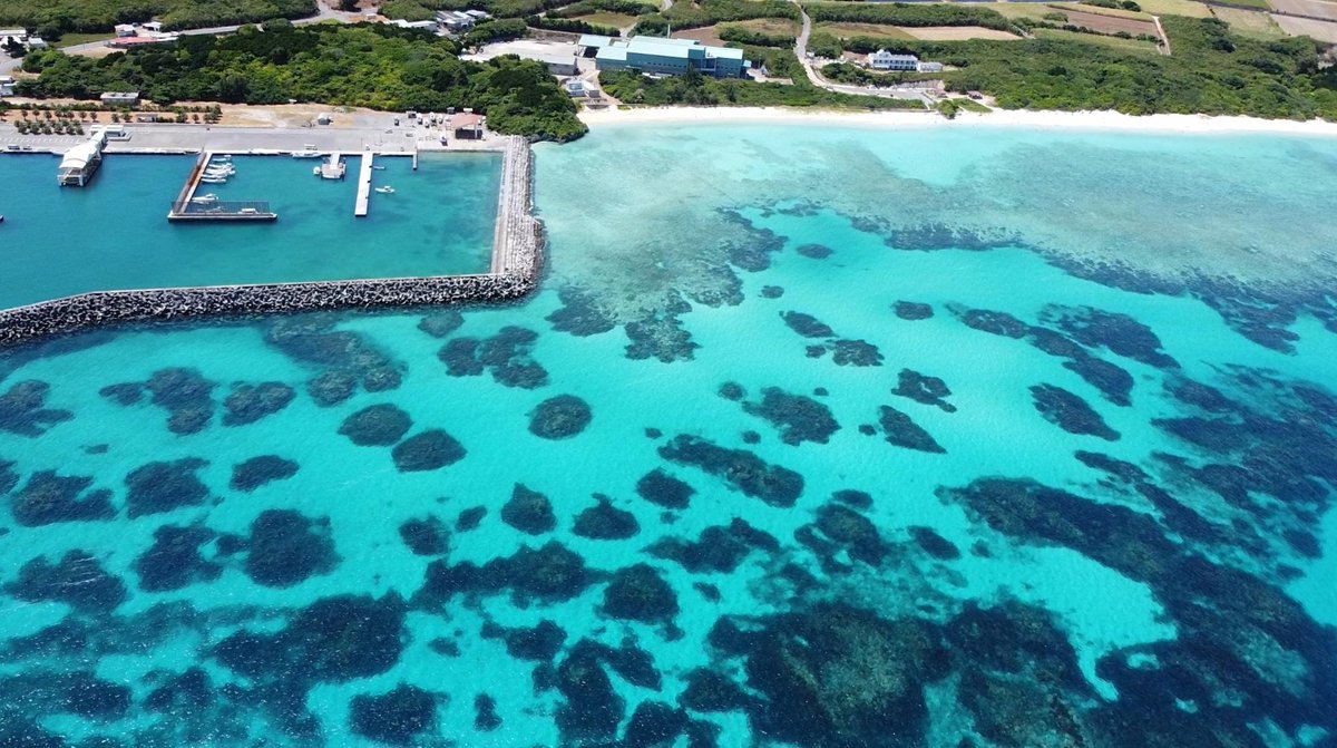 波照間製糖株式会社 tweet media