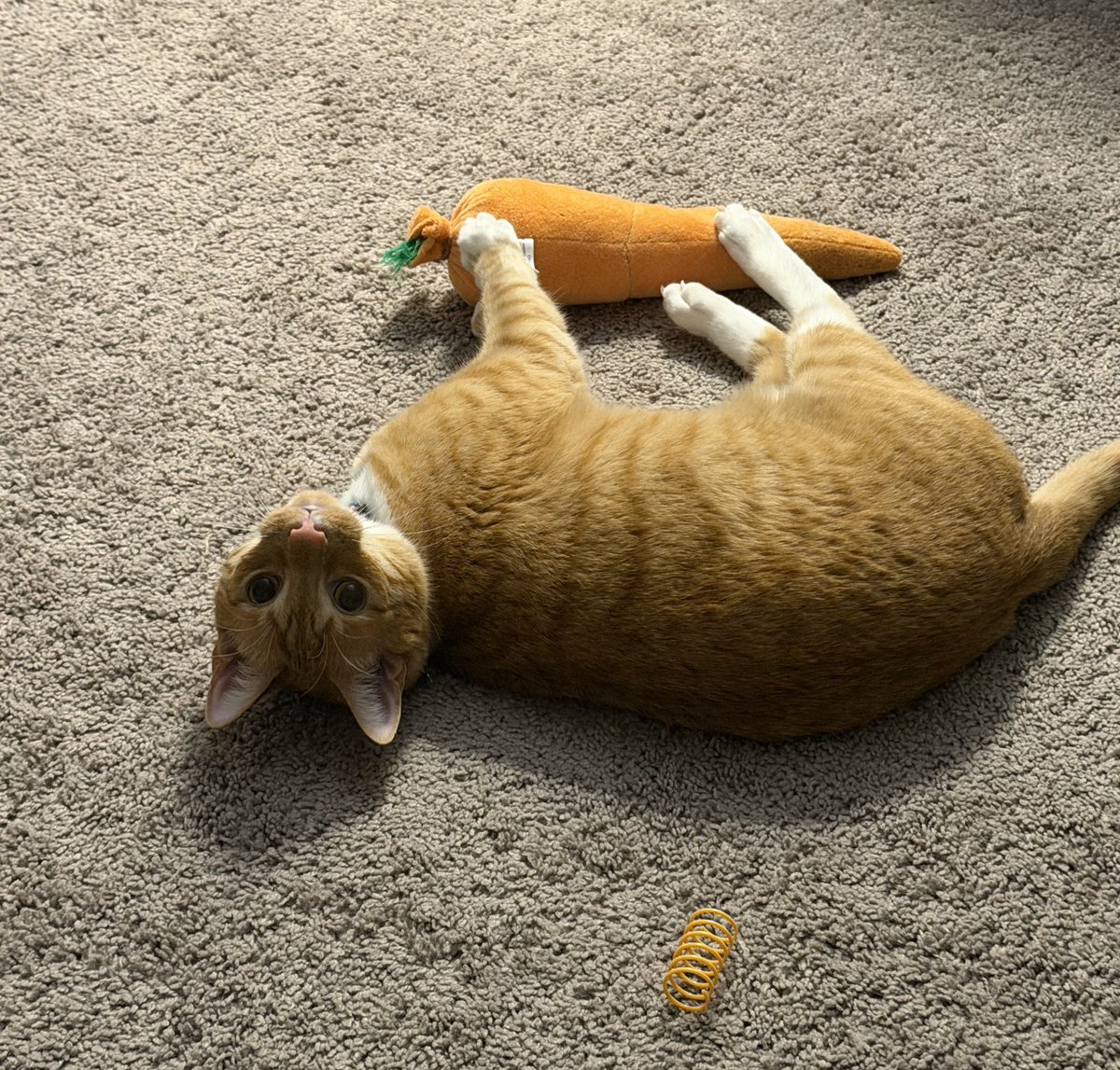 Kumi 🪶🪑 tweet media