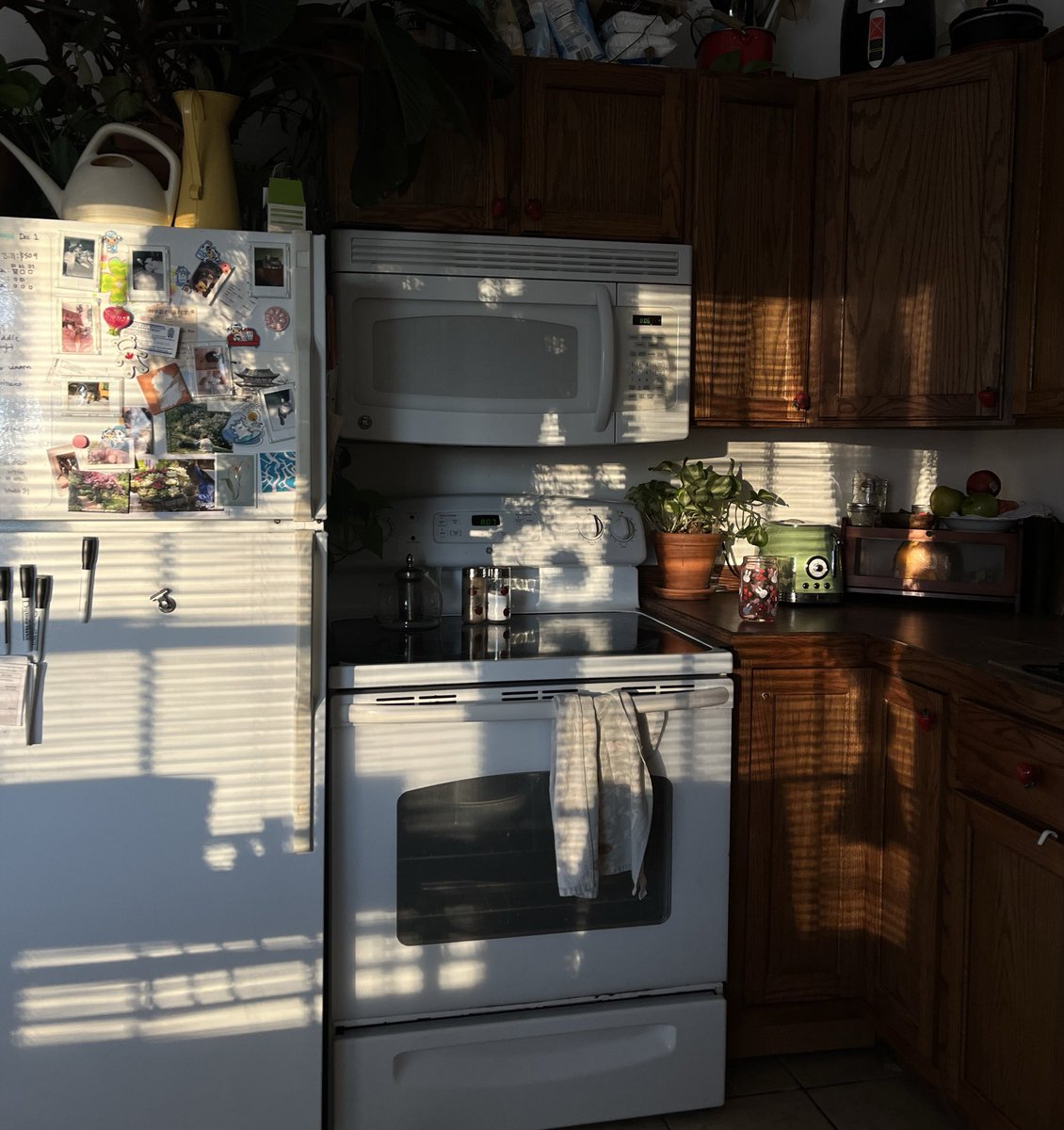 ✮⋆˙ (@dmugg7) on Twitter photo 