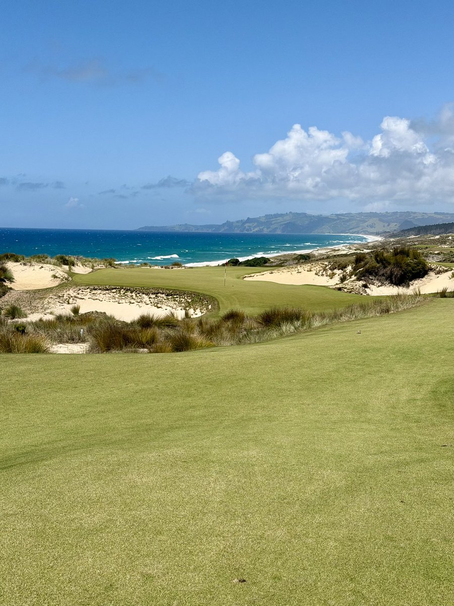 JStewgolf tweet media