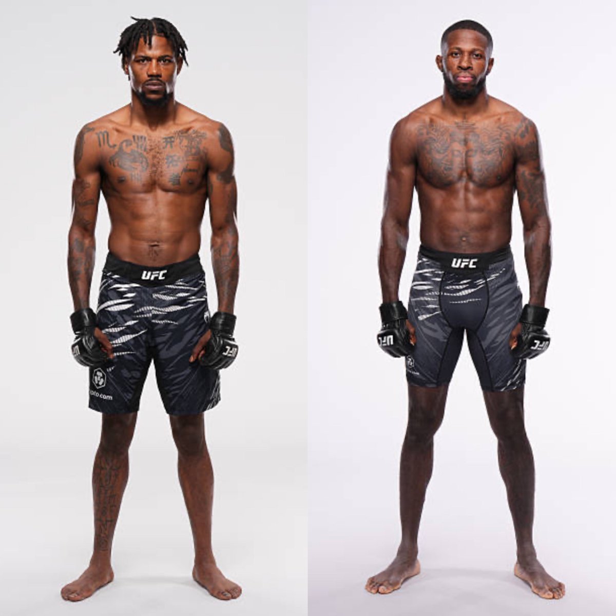 MMA Orbit tweet media